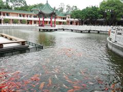 -广东圆玄道观