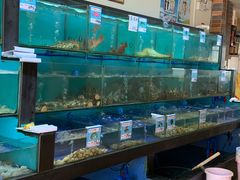 水产区-南海渔家•海鲜•正宗海南菜(海棠湾店)