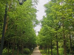 -狼山风景名胜区