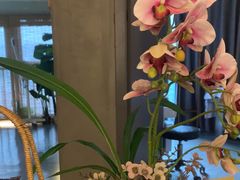 -施奈儿.洗头頭療.按摩SPA.采耳(上梅林店)