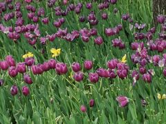 -长春公园(普阳街道)