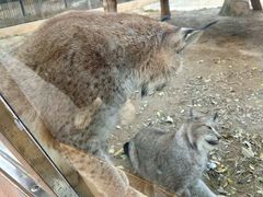 -石家庄市动物园