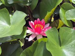-木塔寺遗址生态公园