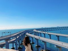 -星海湾跨海大桥