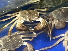 -阳澄湖大闸蟹·琼灵阁牌品牌连锁(吴中总店)