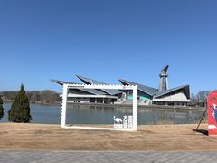 -盐城丹顶鹤湿地生态旅游区