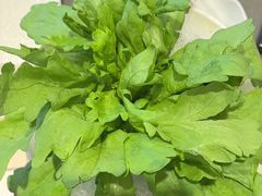 -前门·鲜肉火锅(长风店)