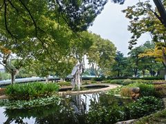 -红梅公园