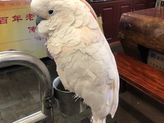 -四海楼(如皋定慧禅寺店)