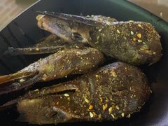 -眼镜哥浦江夜宵大本营