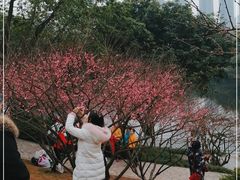 -重庆彩云湖湿地公园