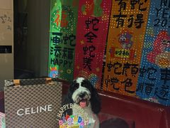 -百好乐宠物友好餐厅(朝外大街店)