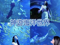 -威海华夏城景区