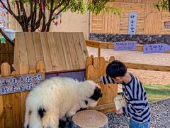 -HERRE·FARM 赫尔露营农场·团建聚会包场