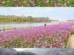 -黄山鲁森林公园
