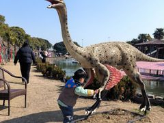 -苏州太湖西山岛开心农场