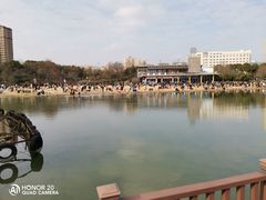-青枫公园