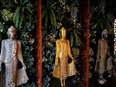 -泰尊道·纯正泰式按摩spa(包河万达店)