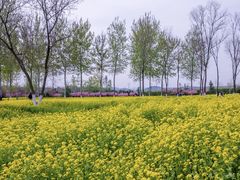 -济南植物园