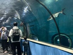 -苏州海洋馆