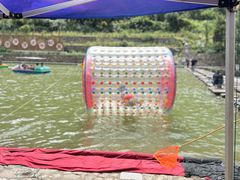 -芦茨金富饭庄·25年老字号·专做稻草鸡