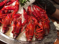 -人间酒暖·Go blanc·烧鸟·深夜食堂(陆家嘴店)