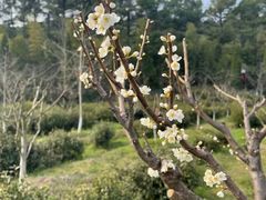 -西山人家·二十年老字号农家菜(旺山店)