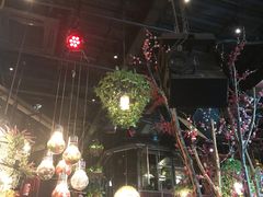 -胡桃里音乐酒馆(白云五号T5 MALL店)