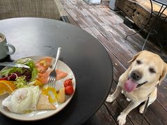 -VESH COFFEE(定西路店)