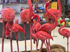 -高新活力汇Vitality