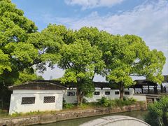 -无锡蠡湖国家湿地公园-蠡园