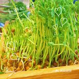 好吃不胖！无油牛肋骨锅～～～