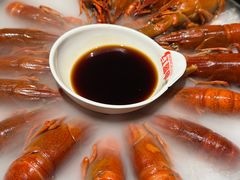 -红盔甲·小龙虾(人民广场店)