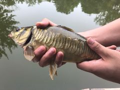 -酷鱼垂钓CLUB(朝阳区博大路店 )