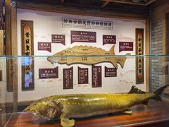 水产区-胖姐渔村(中源大道店)