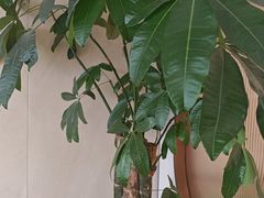 -李先生牛肉面大王(华联商厦店)