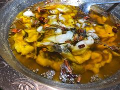 -雲蜀龙阁·金牌水煮鱼(方庄店)