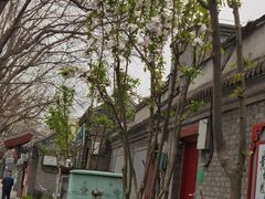 -西域美食(西直门南小街店)