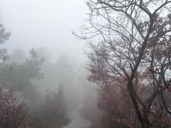 -敬亭山风景名胜区