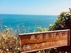 -杨梅坑