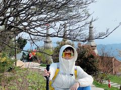 -长沙黑麋峰国家森林公园