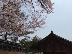 -景福宫