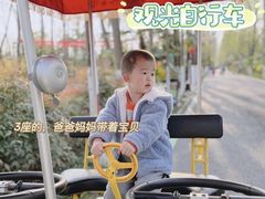 -合肥滨湖国家森林公园