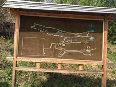 -五营红松林海景区