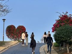 -东莞植物园
