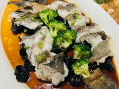 -龙船人海鲜城(长治路店)