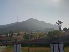 -密云玫瑰情园