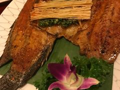 香茅草烤罗非鱼-紫滇源云南生态菜(丹凤街店)