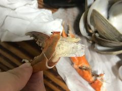 -老伯蟹脚店(朝阳路店)