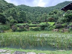 -桃花岭景区